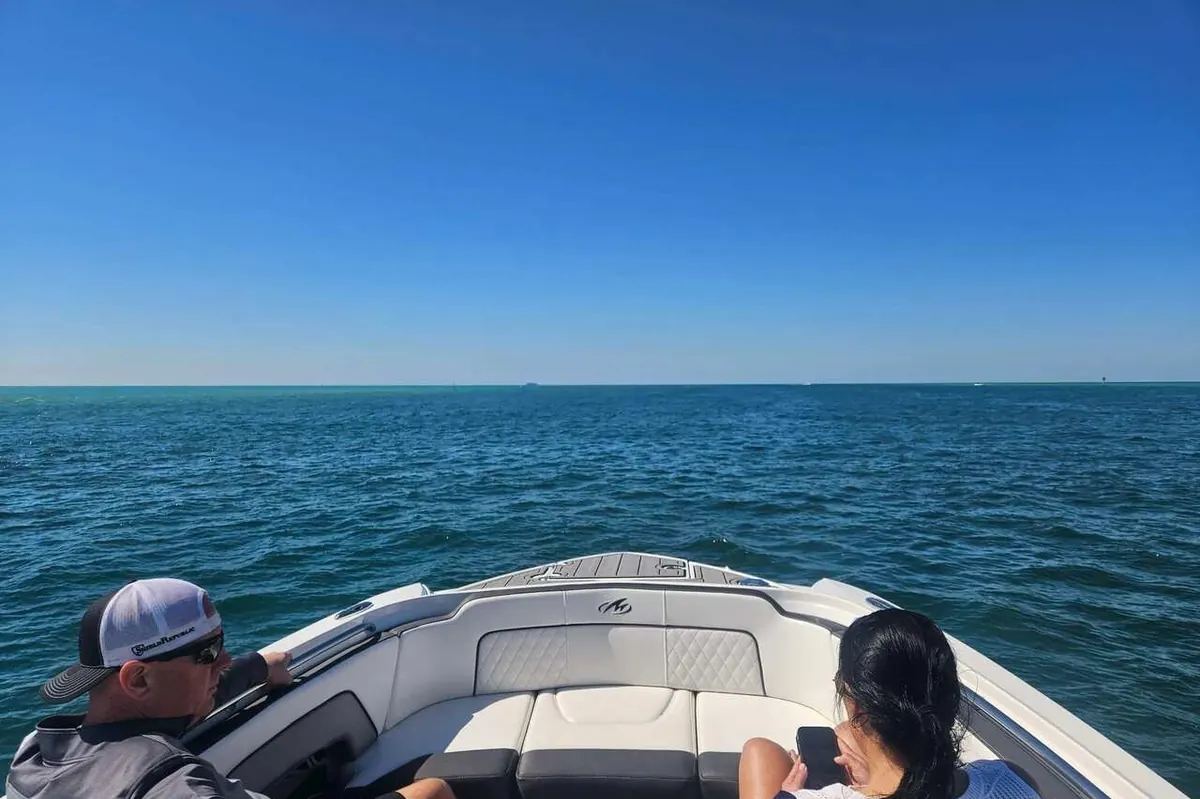 Dolphins playing in a boat wake on the way to Egmont Key