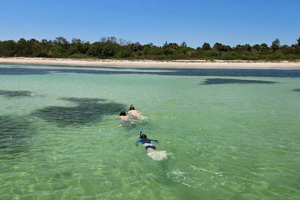 Kids in snorkel masks in shallow water near St. Pete Beach