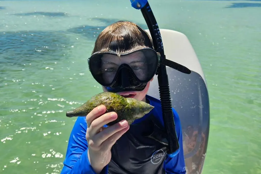 Snorkelers in clear water on a breezy day near Gulfport