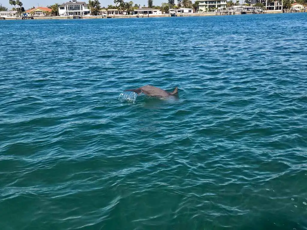 Enjoying water activities provided by Allen's Aquatic Adventures.