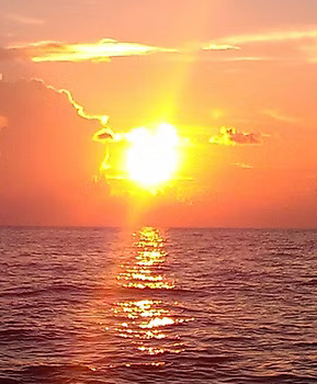 Planning the Perfect Sunset Cruise in St Pete, FL