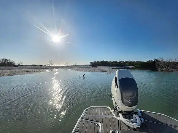 What Locals Enjoy Most About Boat Tours in Madeira Beach