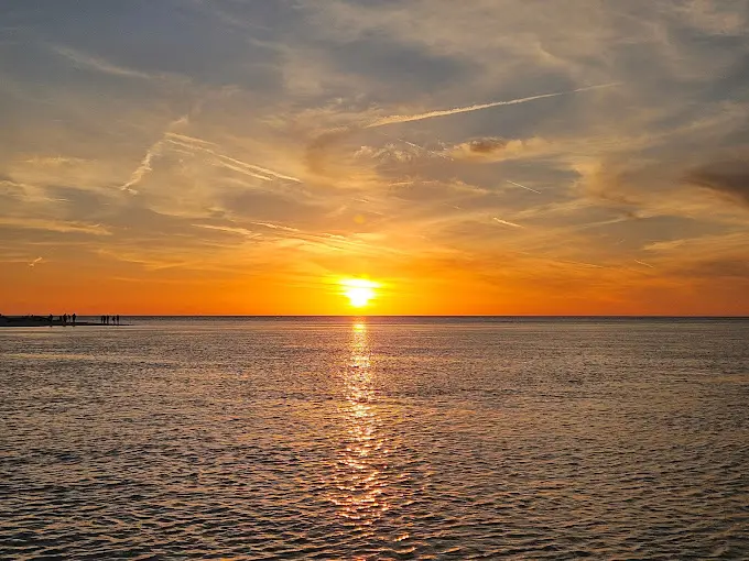 Why Couples Love Taking Boat Tours Around St. Petersburg