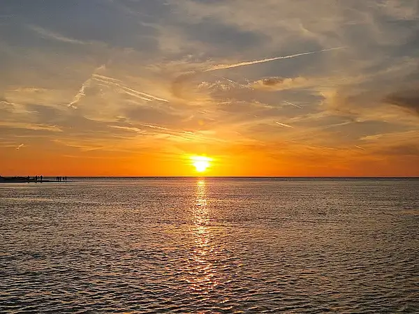 Why Couples Love Taking Boat Tours Around St. Petersburg