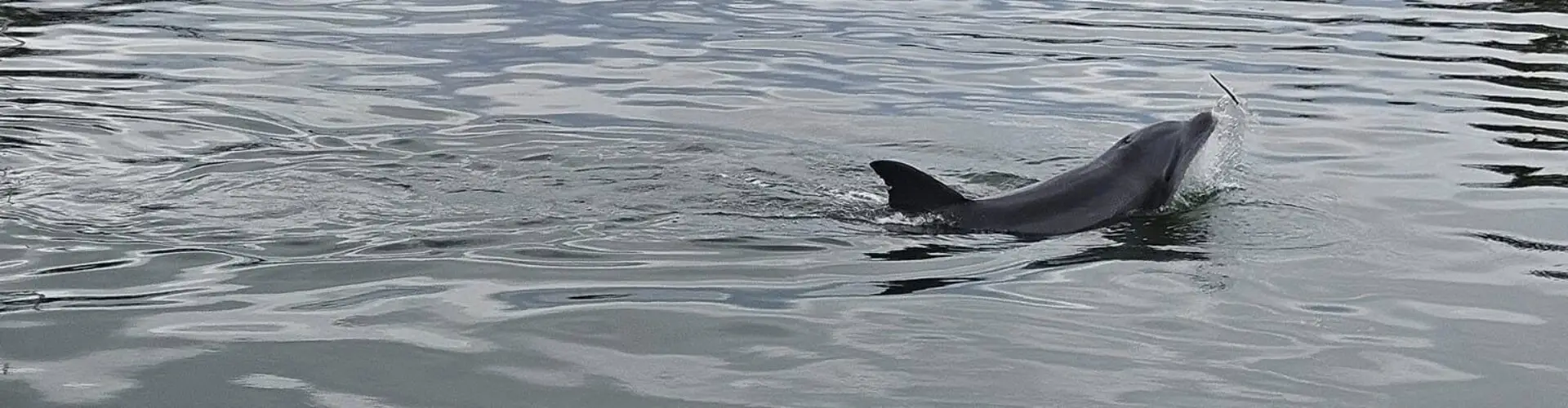 Enjoying water activities provided by Allen's Aquatic Adventures.