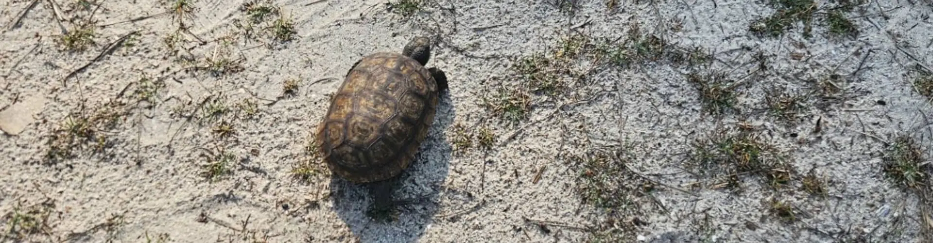 Enjoying water activities provided by Allen's Aquatic Adventures.